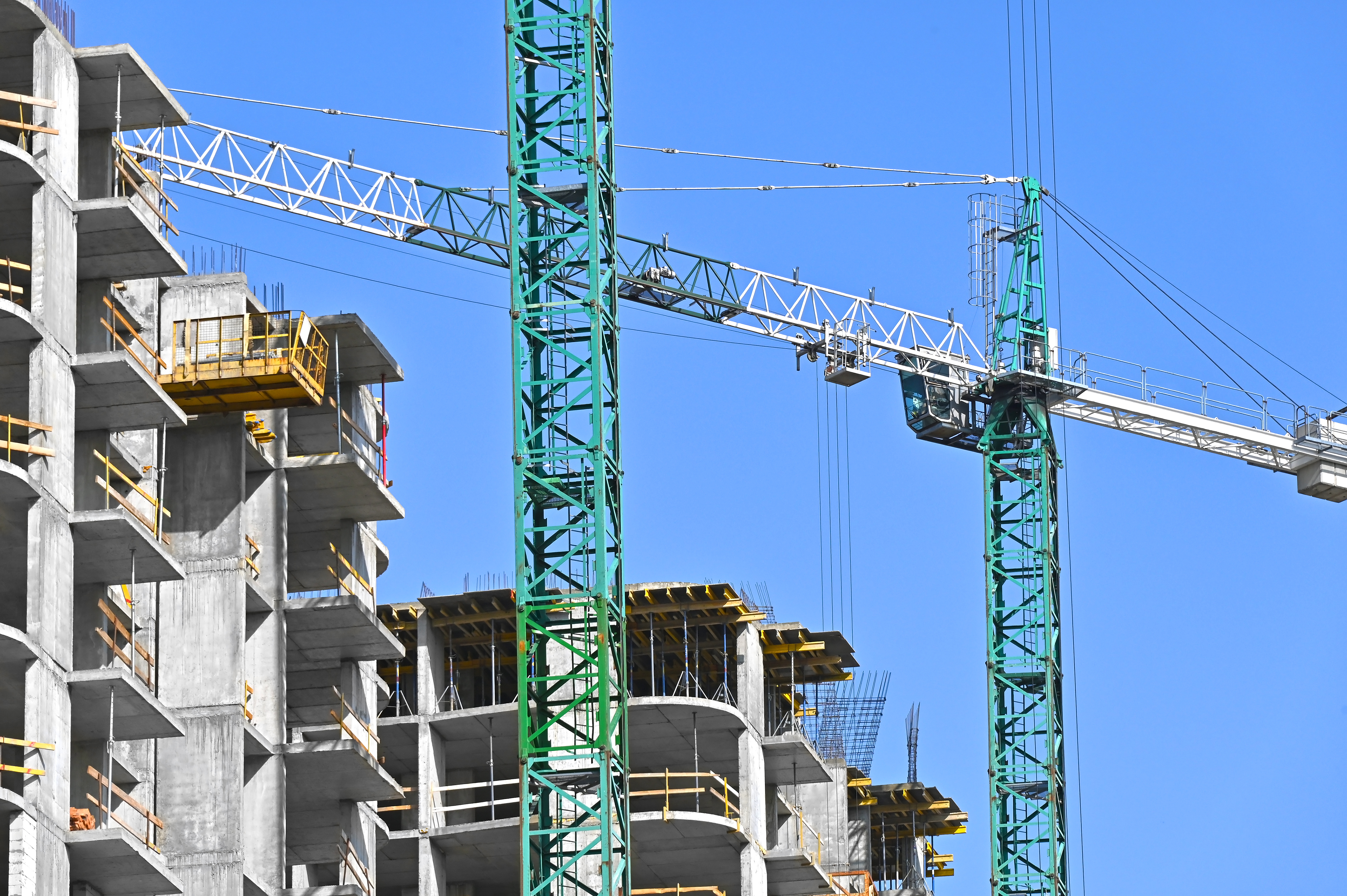 shutterstock_1920687149