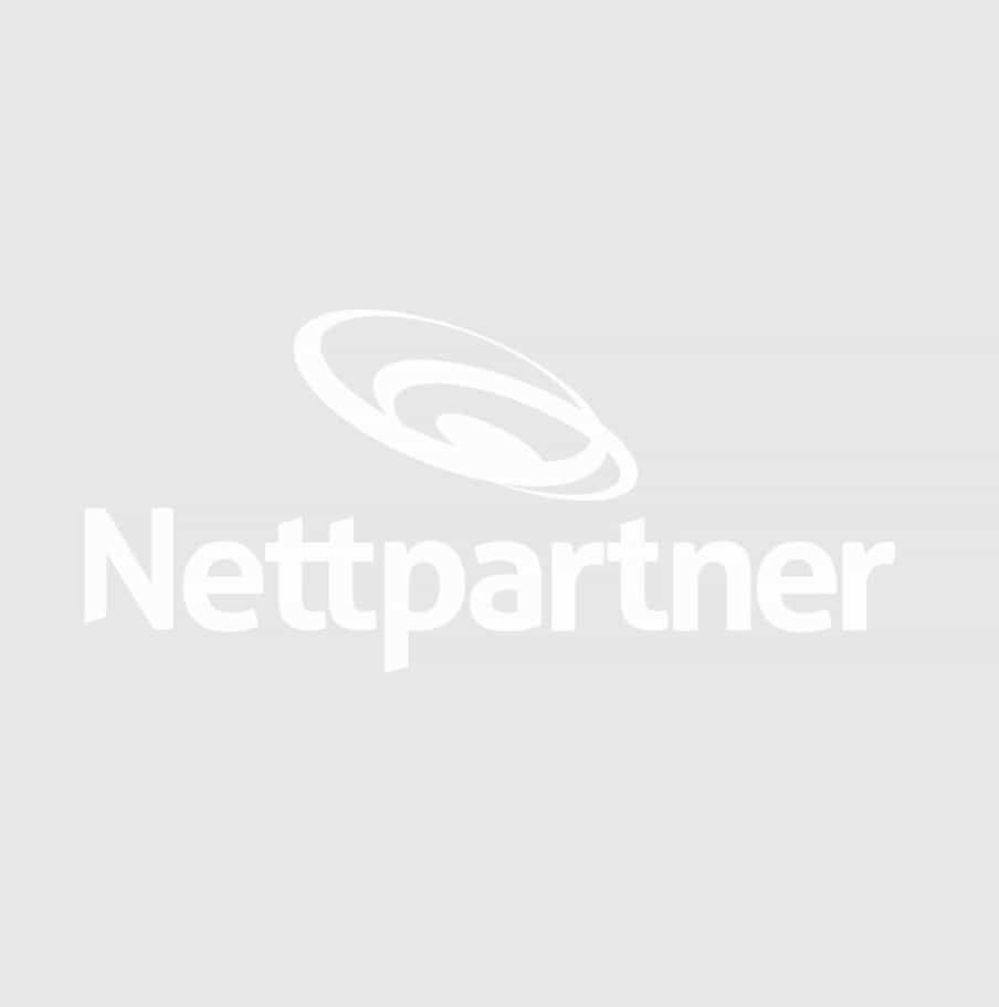 nettpartner-logo-illu-white